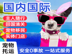 巴马空运国际宠物托运 【国